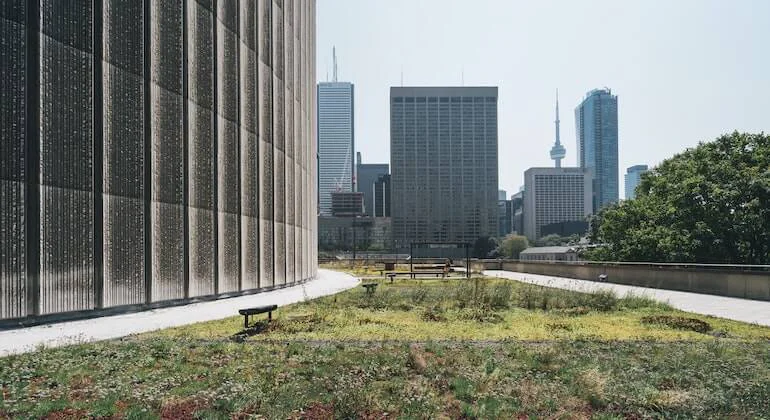 Dose Your Business with Sustainability