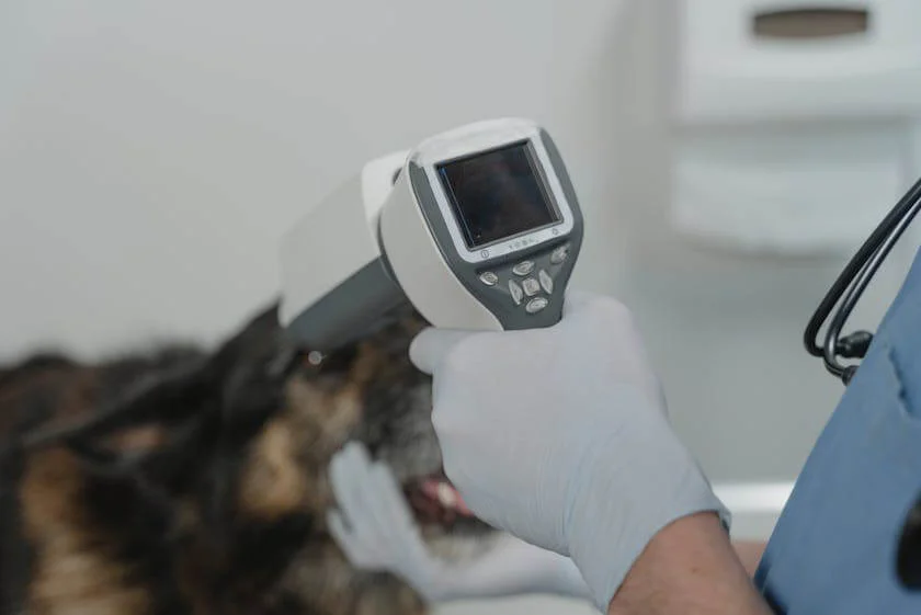 The Importance of Infrared Thermography: Seeing the Unseen