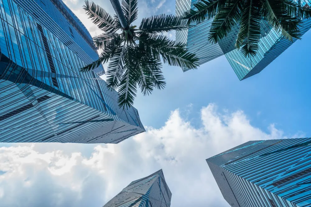 Dubai Property Sales Hit Record Over185 bln USD in 2025